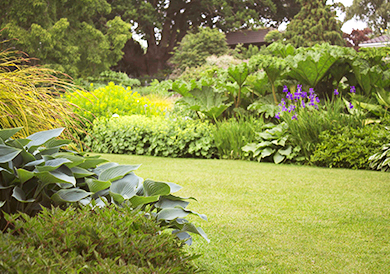 Home projects 03.jpg